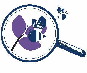 Our-findings